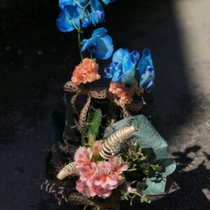 Çift Dallı Mavi Orkide