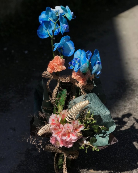 Çift Dallı Mavi Orkide